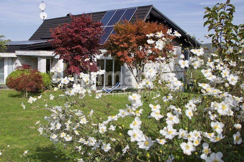 Samostojeca kuca, Prodaja, Bosiljevo, Pribanjci