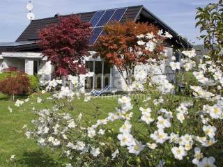 Samostojeca kuca, Prodaja, Bosiljevo, Pribanjci