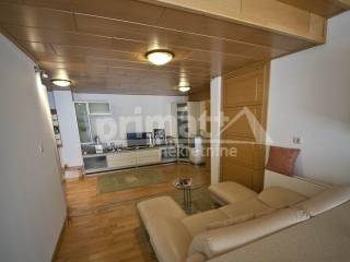 Samostojeca kuca, Prodaja, Bosiljevo, Pribanjci