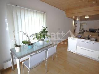 Samostojeca kuca, Prodaja, Bosiljevo, Pribanjci