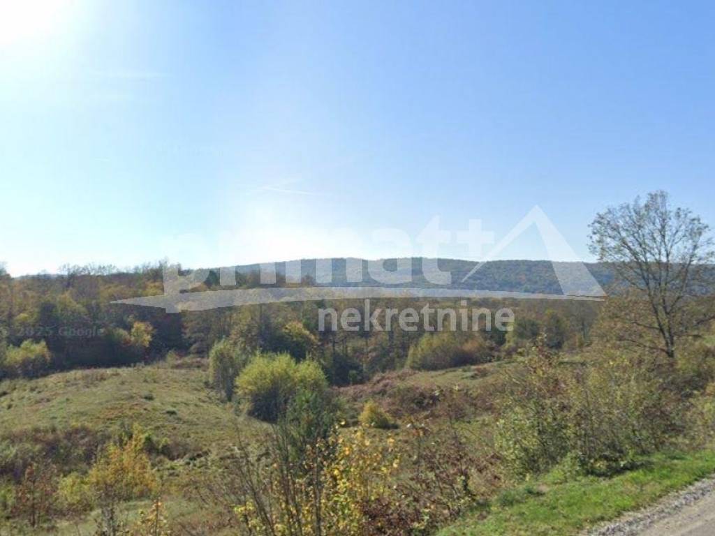 Suma, Prodaja, Tounj, Trzic Tounjski