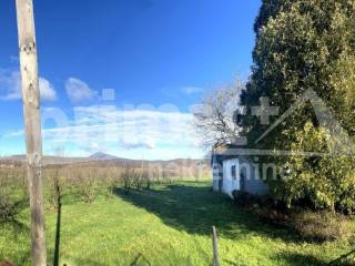 Kuca, Prodaja, Plaski, Lapat