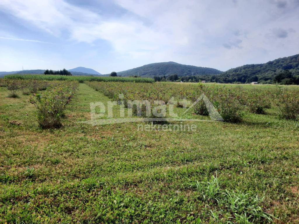 Poljoprivredno zemljiste, Prodaja, Josipdol, Josipdol