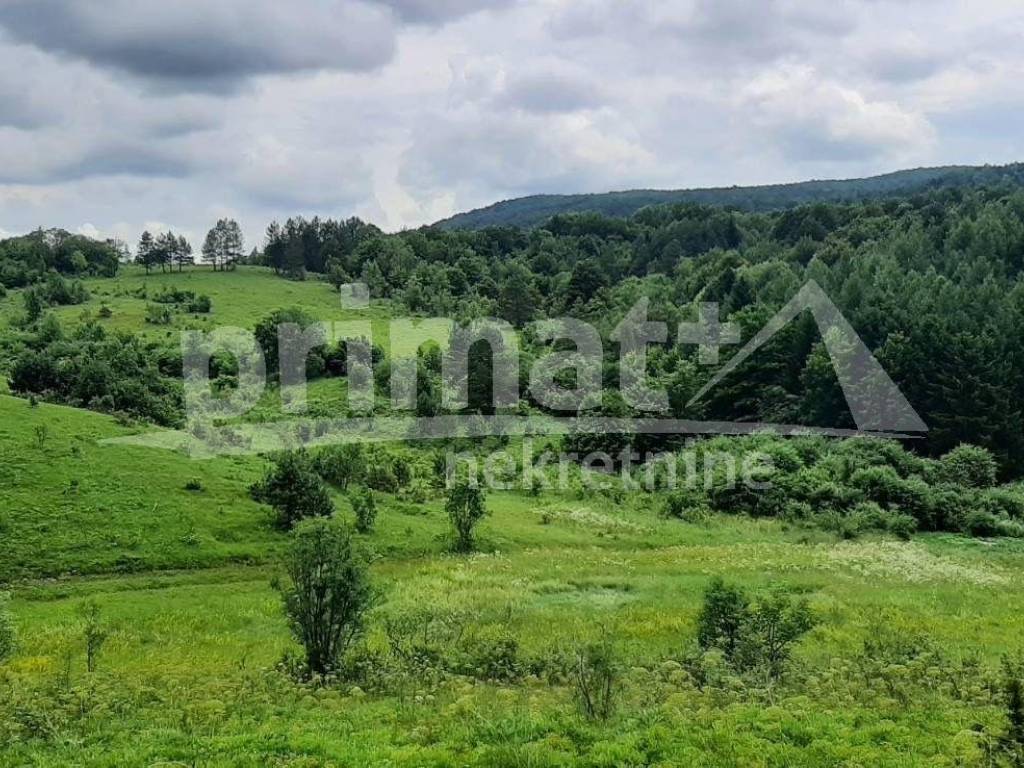 Rusevina, Prodaja, Plaski, Kunic