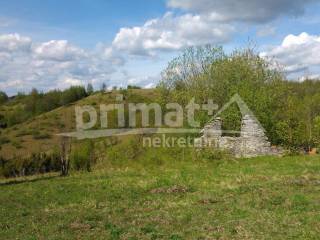 Rusevina, Prodaja, Plaski, Kunic