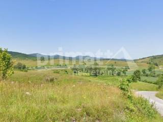 Rusevina, Prodaja, Plaski, Kunic