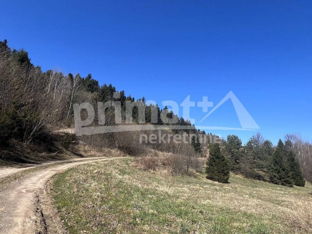 Suma, Prodaja, Saborsko, Blata