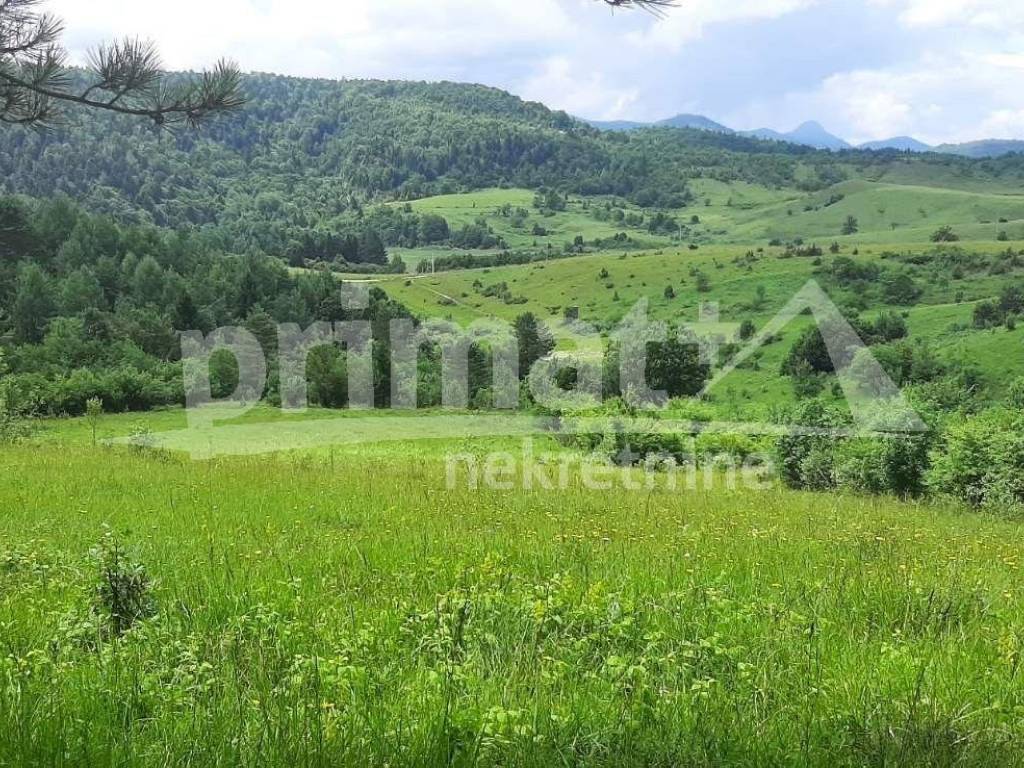 Rusevina, Prodaja, Plaski, Kunic