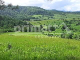 Rusevina, Prodaja, Plaski, Kunic