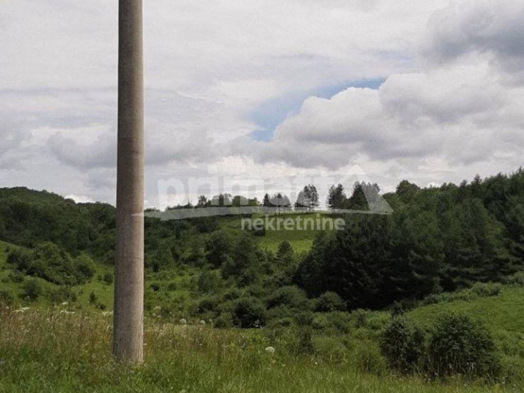 Rusevina, Prodaja, Plaski, Kunic