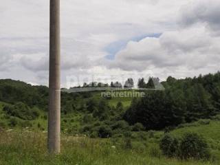 Rusevina, Prodaja, Plaski, Kunic