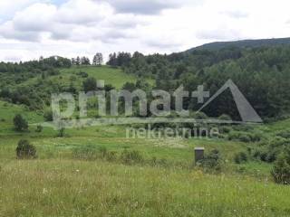 Rusevina, Prodaja, Plaski, Kunic