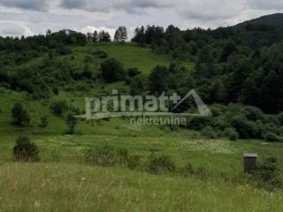 Rusevina, Prodaja, Plaski, Kunic