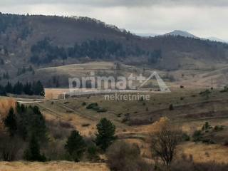 Rusevina, Prodaja, Plaski, Kunic