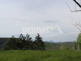 Rusevina, Prodaja, Plaski, Kunic