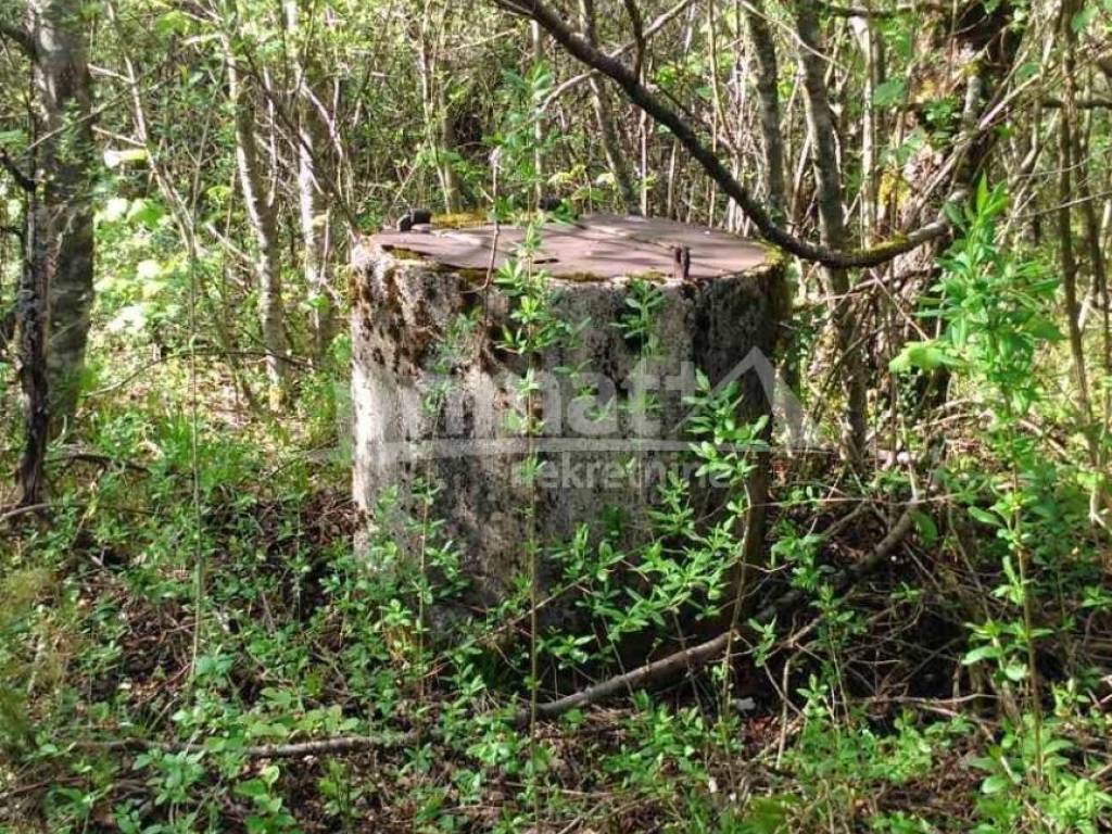 Rusevina, Prodaja, Plaski, Kunic