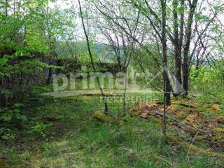 Rusevina, Prodaja, Plaski, Kunic