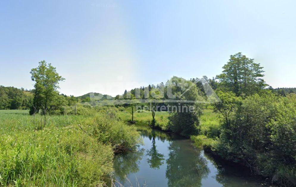 Rusevina, Prodaja, Plaski, Kunic