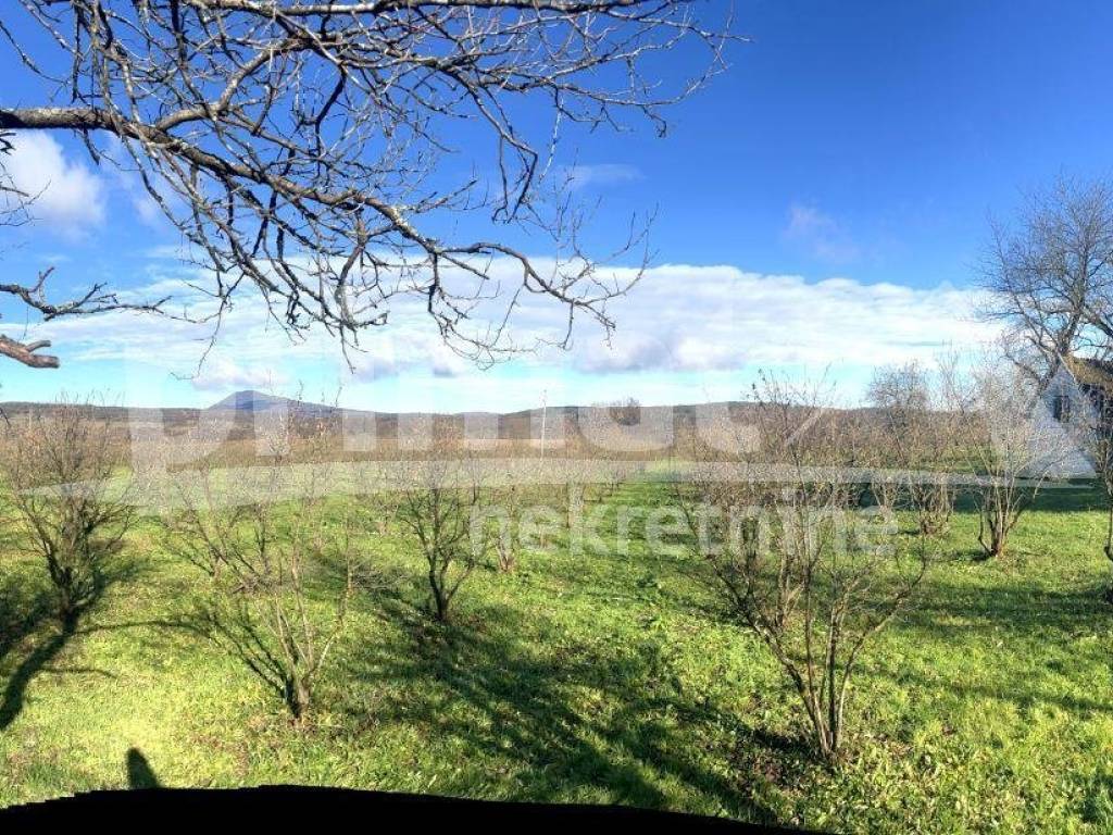 Kuca, Prodaja, Plaski, Lapat