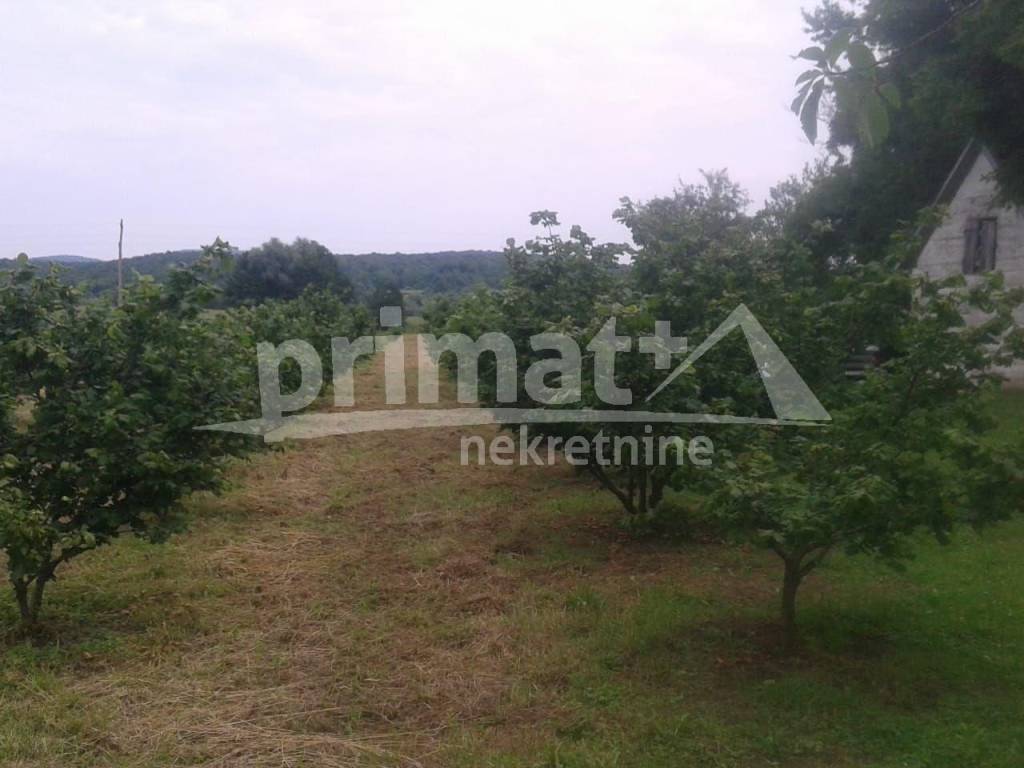 Kuca, Prodaja, Plaski, Lapat