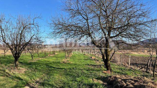 Kuca, Prodaja, Plaski, Plaski