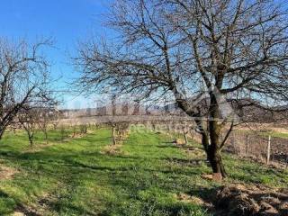 Kuca, Prodaja, Plaski, Plaski