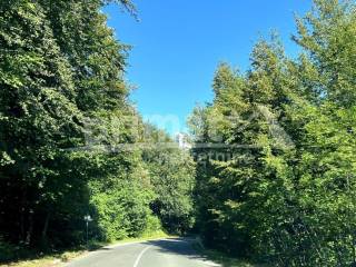 Livada, Prodaja, Ogulin, Ogulin