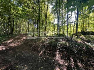 Suma, Prodaja, Ogulin, Ogulin