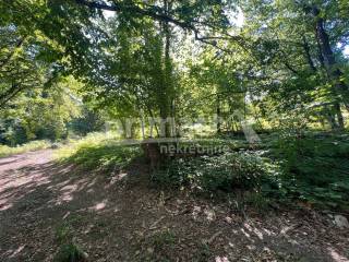 Suma, Prodaja, Ogulin, Ogulin