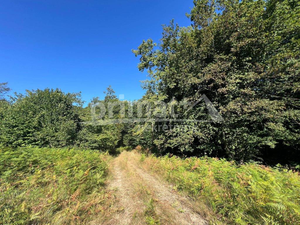 Suma, Prodaja, Ogulin, Ogulin