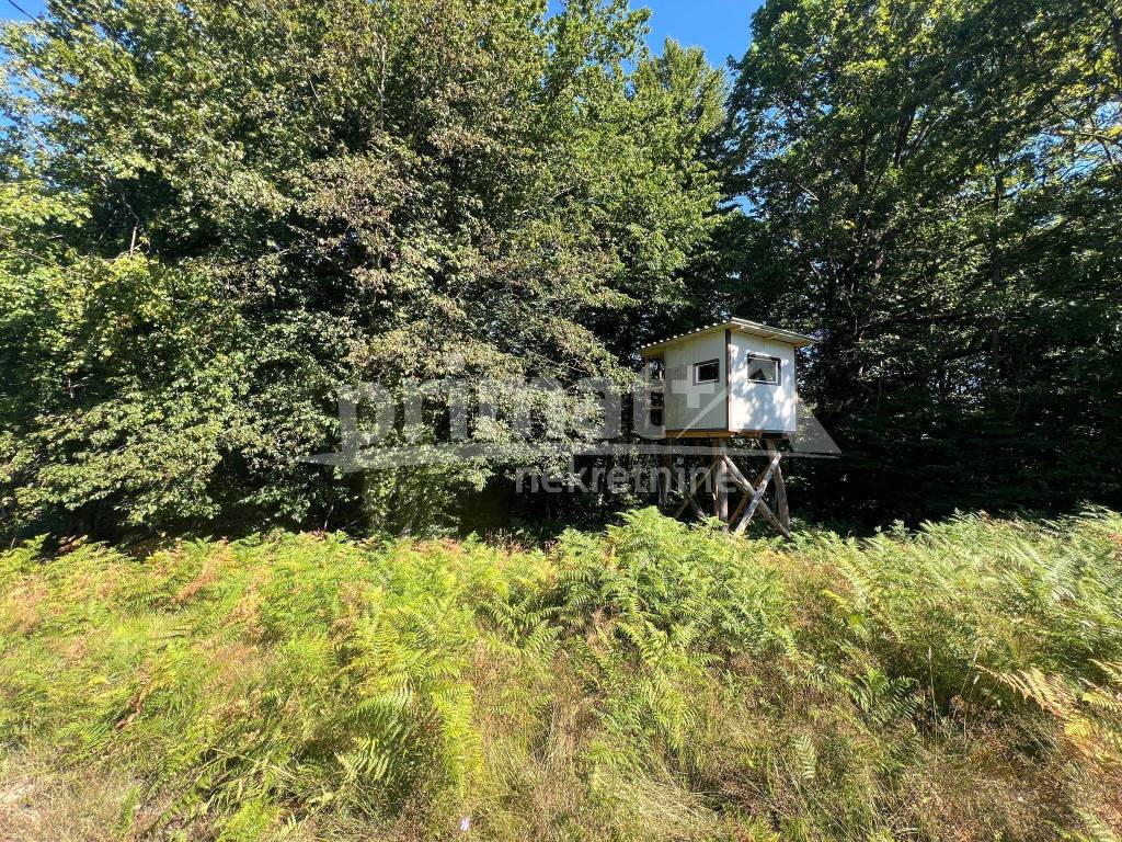 Suma, Prodaja, Ogulin, Ogulin