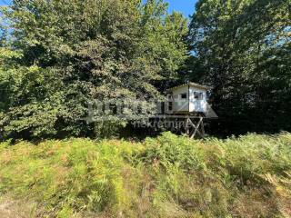 Suma, Prodaja, Ogulin, Ogulin