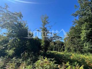 Suma, Prodaja, Ogulin, Ogulin