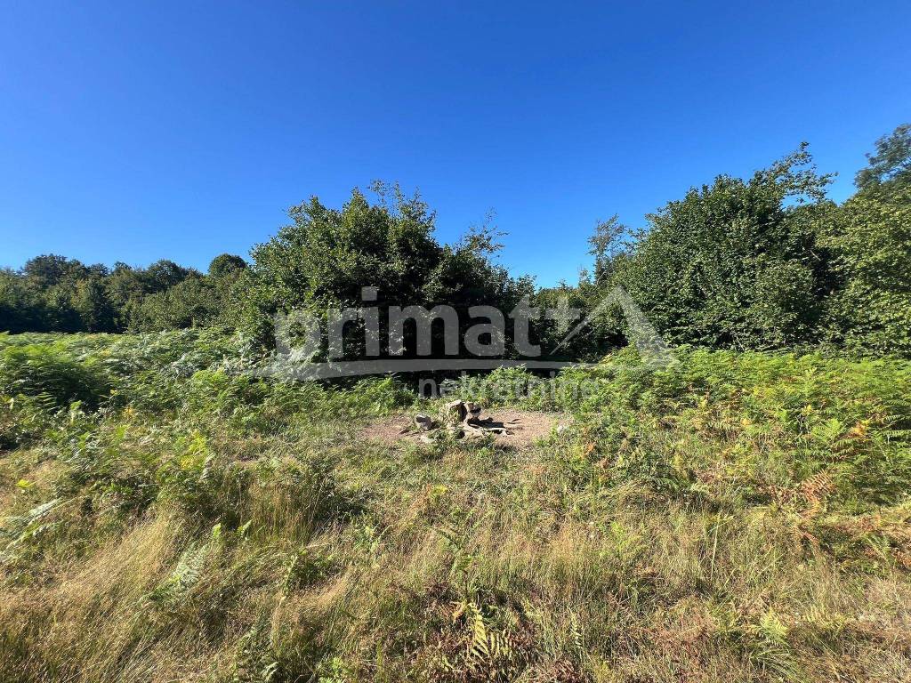 Suma, Prodaja, Ogulin, Ogulin