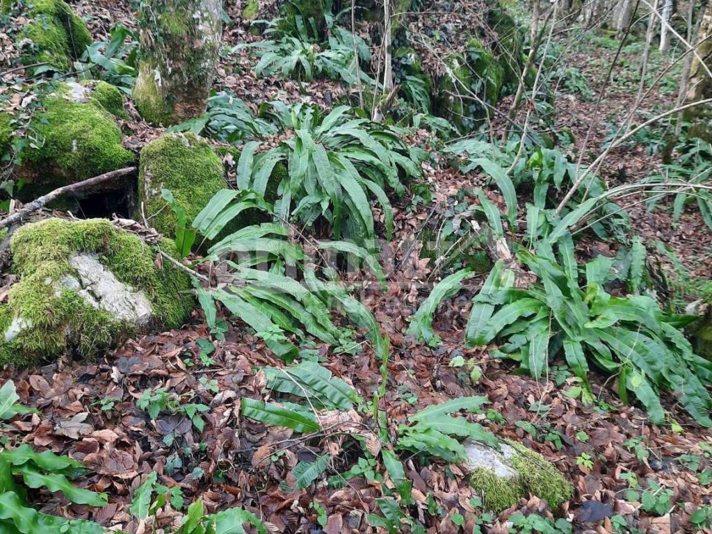 Gradjevinsko zemljiste, Prodaja, Josipdol, Ostarije