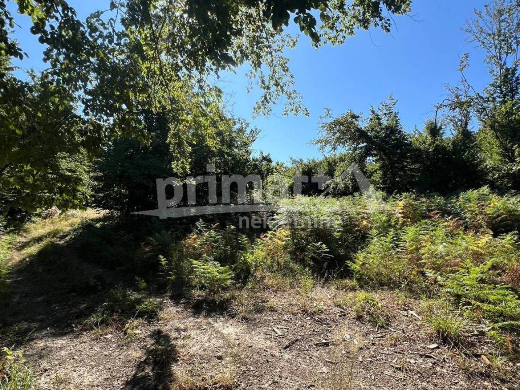 Suma, Prodaja, Ogulin, Ogulin