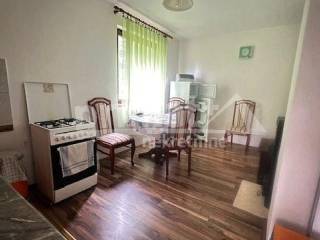 Samostojeca kuca, Prodaja, Ogulin, Dreznica