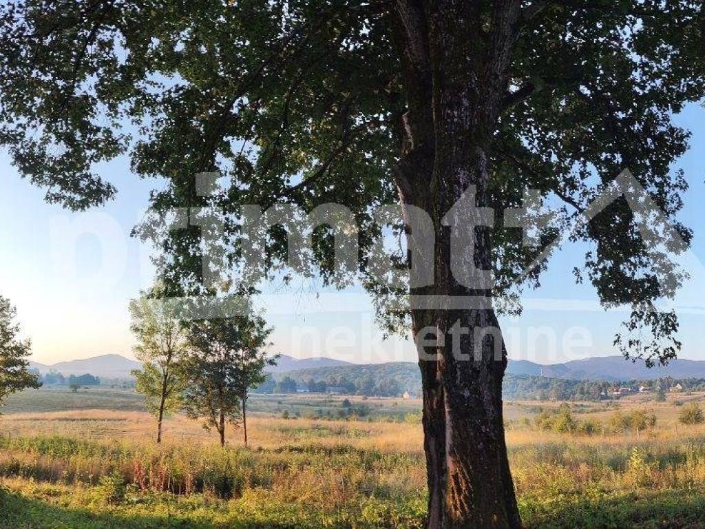 Kuca, Prodaja, Plaski, Plaski