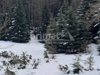 Poljoprivredno zemljiste, Prodaja, Ravna gora, Stari Laz