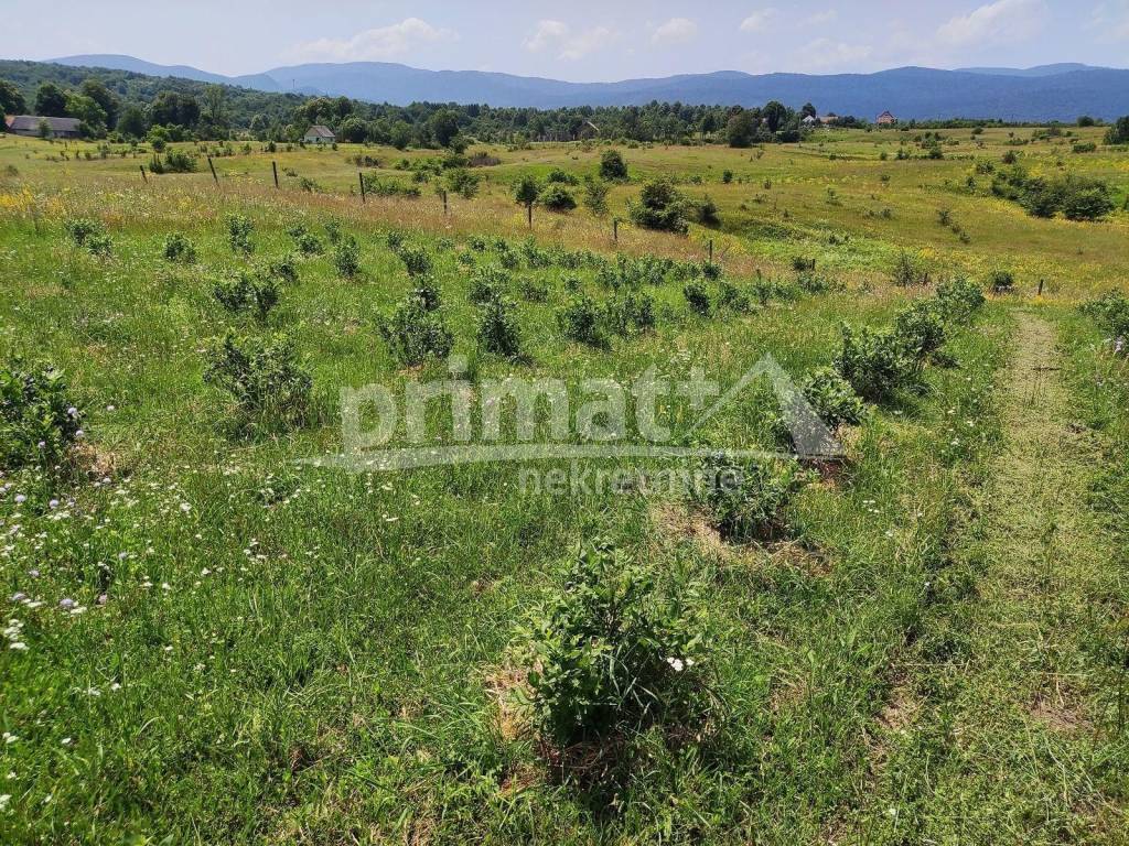 Kuca, Prodaja, Plaski, Plaski