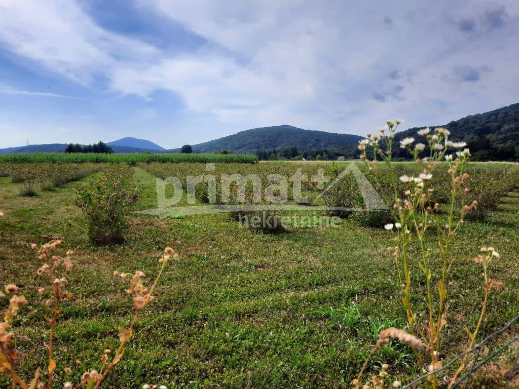 Poljoprivredno zemljiste, Prodaja, Josipdol, Josipdol