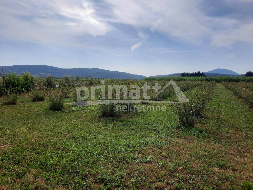 Poljoprivredno zemljiste, Prodaja, Josipdol, Josipdol