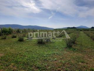 Poljoprivredno zemljiste, Prodaja, Josipdol, Josipdol