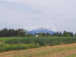 Poljoprivredno zemljiste, Prodaja, Josipdol, Josipdol