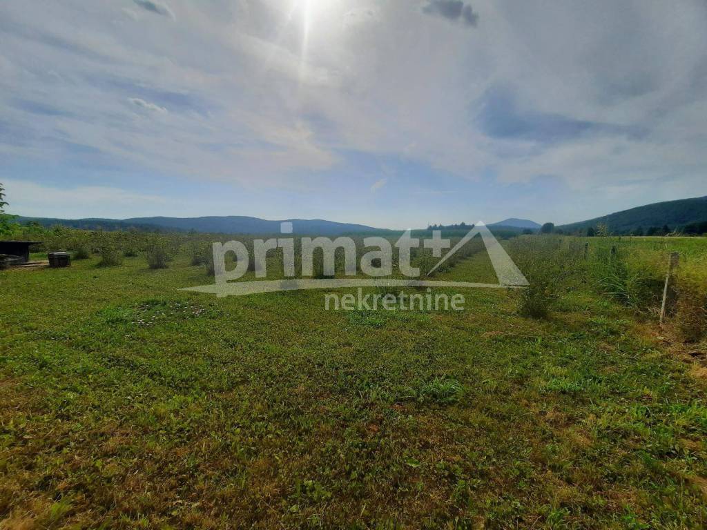 Poljoprivredno zemljiste, Prodaja, Josipdol, Josipdol