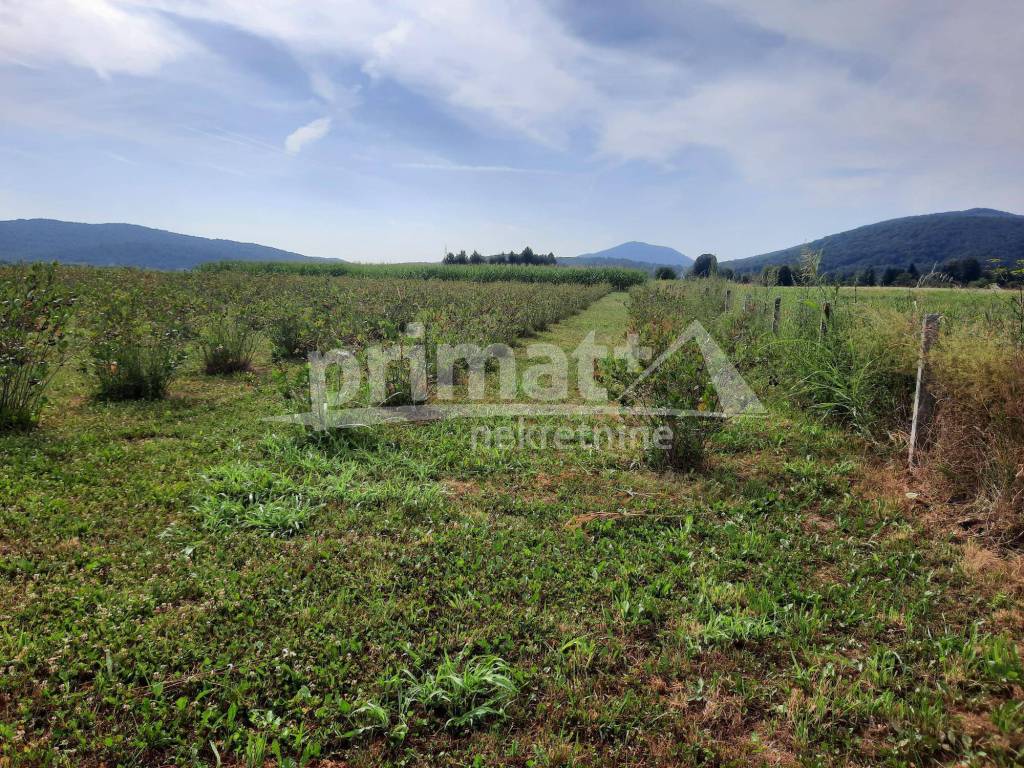 Poljoprivredno zemljiste, Prodaja, Josipdol, Josipdol