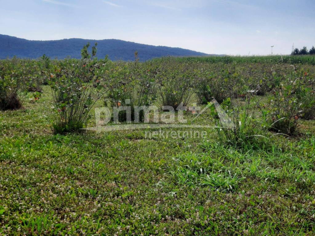 Poljoprivredno zemljiste, Prodaja, Josipdol, Josipdol