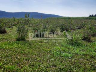 Poljoprivredno zemljiste, Prodaja, Josipdol, Josipdol