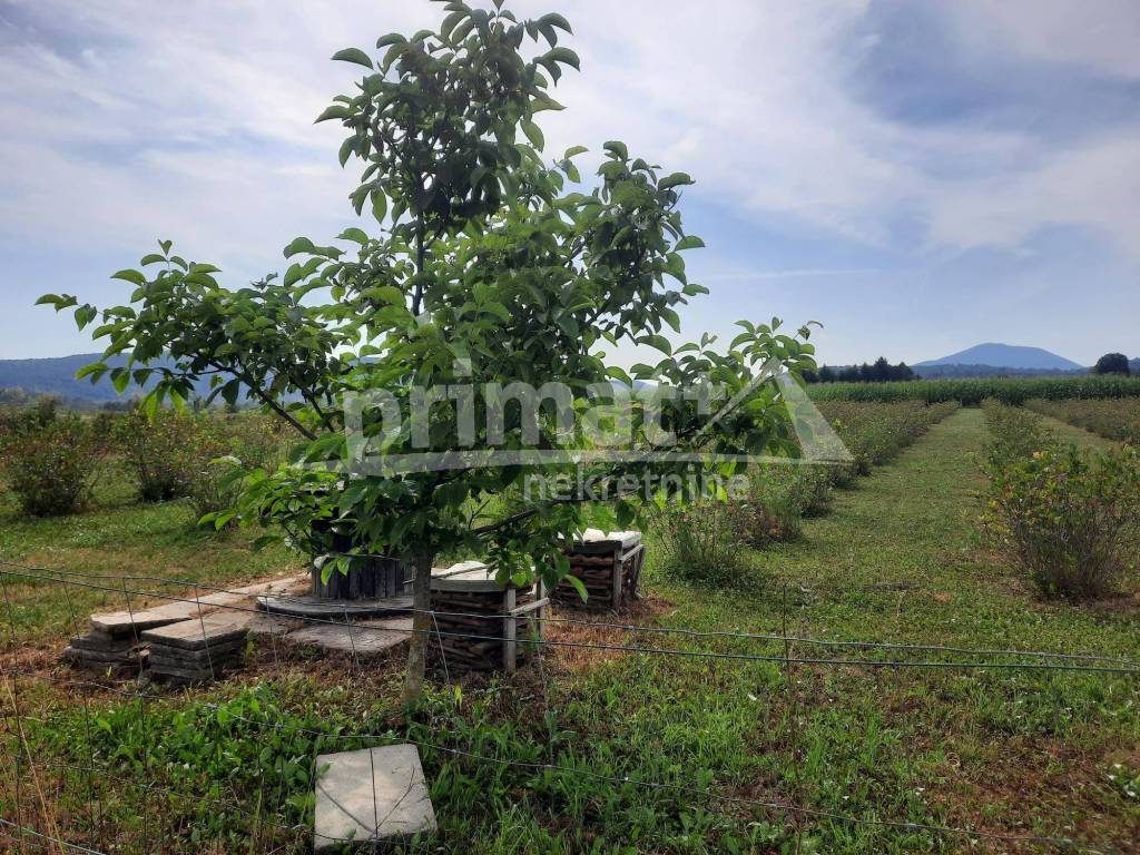 Poljoprivredno zemljiste, Prodaja, Josipdol, Josipdol