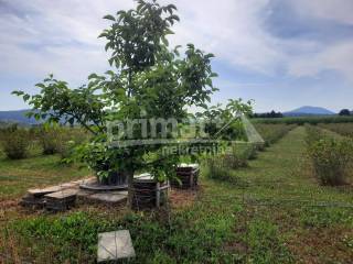 Poljoprivredno zemljiste, Prodaja, Josipdol, Josipdol